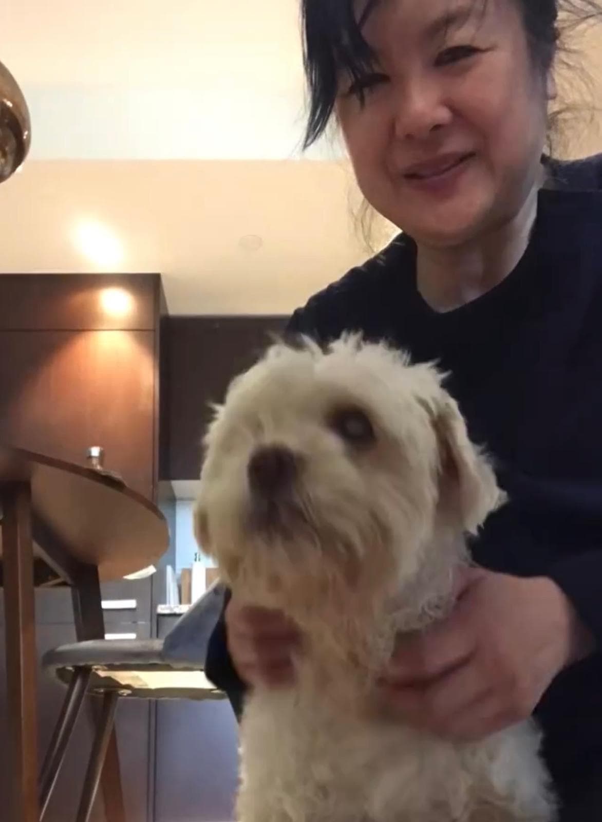Eunice, Canine training & anxious-traveler specialist — 1/2